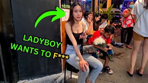 ladyboy porntubes